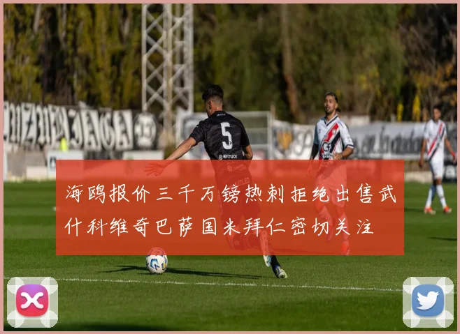 海鸥报价三千万镑热刺拒绝出售武什科维奇巴萨国米拜仁密切关注
