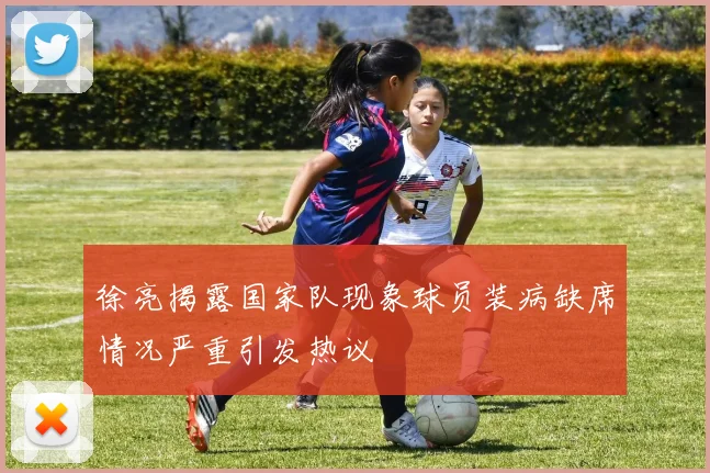 徐亮揭露国家队现象球员装病缺席情况严重引发热议