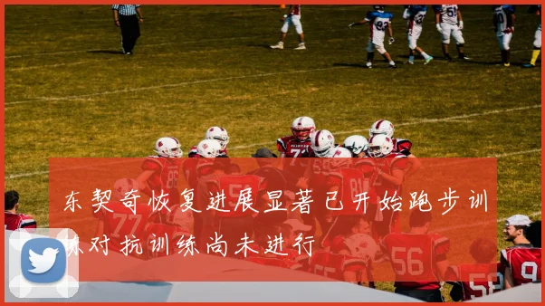 东契奇恢复进展显著已开始跑步训练对抗训练尚未进行