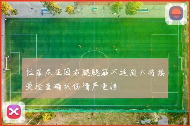 拉菲尼亚因右腿腿筋不适周六将接受检查确认伤情严重性